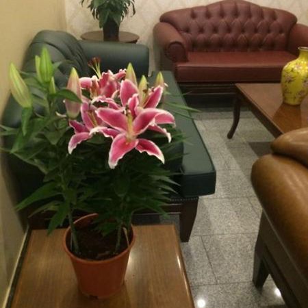 Uenver Hotel Adana Exterior photo